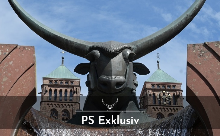 Pirmasens Newsletter Header