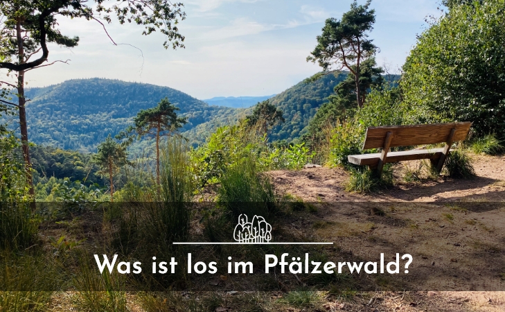 Fahrrad Newsletter Header