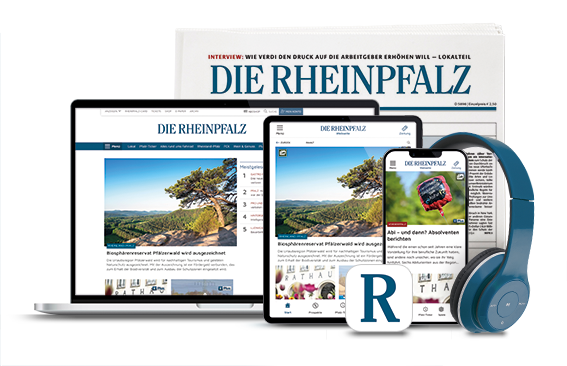 Dies ist ein Bild von Weihnachts-Testabo RHEINPFALZ inkl. Geschenk